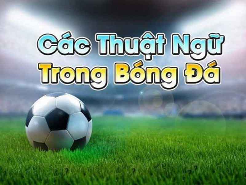 thuat ngu ca do bong da 1 kho báu tứ linh